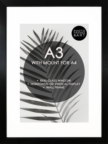 Picture frame with - a3,